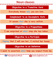 A noun or pronoun in apposition to another noun or pronoun can replace the noun or pronoun. Noun Clause With Sentences English Phrases Learn English Vocabulary Transition Words And Phrases