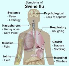 Pin On Medical Things