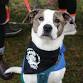 Annual Green Valley Turkey Trot event image