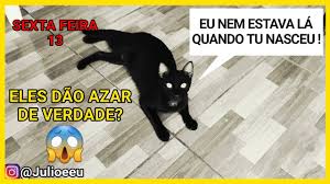Julio Explica Gato Preto Da Azar Julio E Eu Youtube