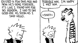 September 10, 2011 by lisa 5 comments. 25 Great Calvin And Hobbes Strips Progressive Boink