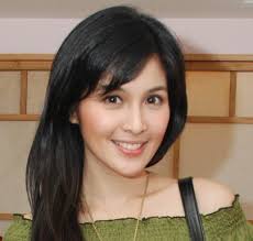 Hasil gambar untuk CANTIK INDO