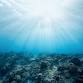 Rhythms of the Sea – Dance & Meditation