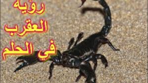 أسباب وجود العقارب في المنزل. Ø§Ø³Ø¨Ø§Ø¨ ÙˆØ¬ÙˆØ¯ Ø§Ù„Ø¹Ù‚Ø§Ø±Ø¨ ÙÙŠ Ø§Ù„Ù…Ù†Ø²Ù„ Cooknays Com