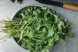 Check spelling or type a new query. How To Store Cilantro In The Refrigerator Help Around The Kitchen Food Network Food Network
