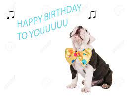 We did not find results for: Cute English Bulldog Puppy Sitting And Singing Happy Birthday Stock Photo Picture And Royalty Free Image Image 88829623