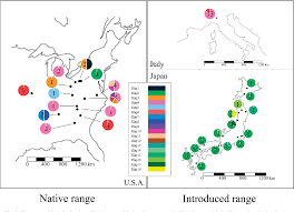 Figure 3 From Origins And Genetic Diversity Of The Ragweed