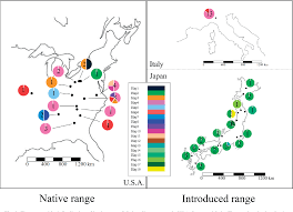 figure 3 from origins and genetic diversity of the ragweed