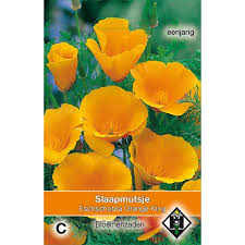 Image result for Eschscholzia