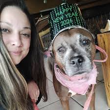 The Gun Show Directory