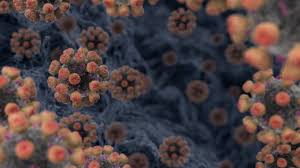 29490 views | 68297 downloads. Covid Why Is Coronavirus Such A Threat Bbc News