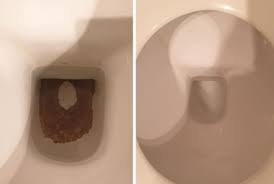 Check spelling or type a new query. How To Clean A Toilet Bunnings Hack Removes Black Stains From Bowl 7news
