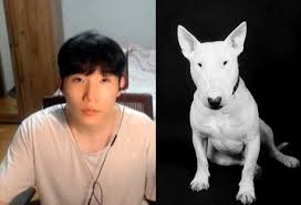 한국 플레이어 여러분과 함께하는 라이엇 게임즈 코리아 공식 트위치 채널입니다! ì €ë¼ëŽƒ ë‹®ì€ ë™ë¬¼ Op Gg Talk