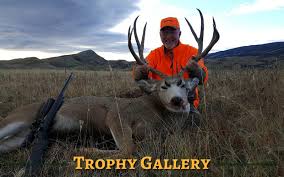 One of the first western states to accept applications is wyoming. Wyomings Finest Outfitters We Are Wyomings Finest Hunting Outfitters