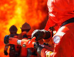 Son más susceptibles a la pérdida de variabilidad genética, ya que cada vez están más emparentados. Extincion De Incendios Alba Formacion