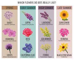 Our options provide nectar from spring to fall. Increasing Your Garden S Bee Population Fix Com