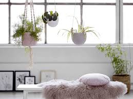 We did not find results for: Ou Trouver Des Pots Pour Suspendre Les Plantes