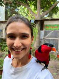 Cacatua Alba Criadero Peru