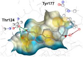 Small Molecule-Protein Interactions Exemplified on Short-Chain  DehydrogenasesReductases