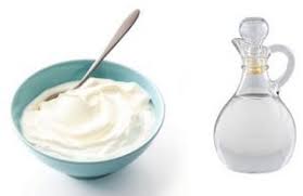 Image result for YOGURT WHITE VINEGAR IMAGES