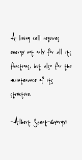 Albert Szent-Gyorgyi Quotes &amp; Sayings (Page 2) via Relatably.com