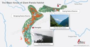 Giant Panda Habitat Where Do Giant Pandas Live In China