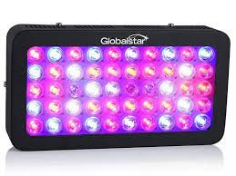 Maybe you would like to learn more about one of these? Global Star 300w Led Grow Lights Review Controlled Indoor Growth
