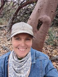 Prescribed fire go no go