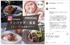 インスタ グラム アンバサダー