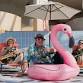 Go Go Skank at the Kindred Spirits Festival event image