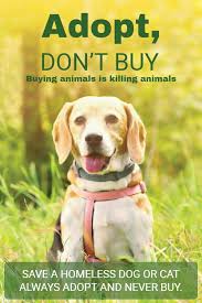 Pet Adoption Campaign Advertisement Poster Template Pet Adoption Center Pet Adoption Animals