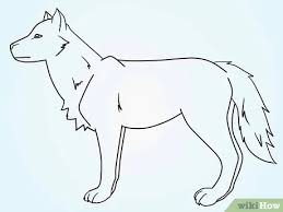 Begin by drawing a circle. How To Draw A Fluffy Crested Wolf With Pictures Wikihow