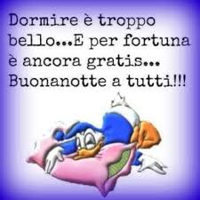 Buonanotte Divertente Immagine 18 Buonanotte Citazioni Divertenti Frasi Positive