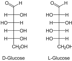 Los monómeros son moléculas que disponen de una masa molecular reducida. Cual Es El Nombre Del Monomero De Hidratos De Carbono Quora