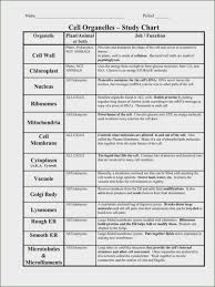 cell organelle chart answer key bedowntowndaytona com