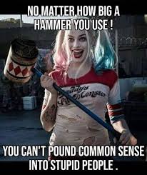 Harley Quinn Memes  Facebook