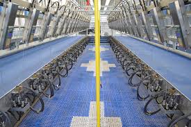 Need to translate zij aan zij from dutch? Familie Vandebergh Essen 2 X 25 Zij Aan Zij Melkstal Dio Agro