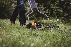 Mar 11, 2021 · well, there is a general rule of thumb for determining what the grass height should be on your lawn. When To Stop Mowing Hgtv