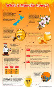 Manuka Honey Health Benefits The Only Honey With Medicinal