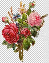 Freeimages pictures flower images download. Old Roses And English Roses Flower Garden Roses Png Clipart Artificial Flower Blume Digital Image Floribunda