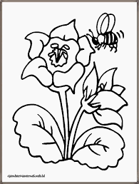 Untuk digunakan gratis ✓ tidak ada atribut yang di perlukan ✓. Gambar Mewarnai Lebah Madu Menghisap Sari Bunga Bee Coloring Pages Animal Coloring Pages Valentines Day Coloring Page