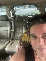 Dogs trying to drink coffee from their owners' cups