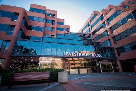 Image result for Sutera levis