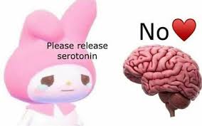 Please Release Serotonin Cute Memes Funny Memes Stupid Memes