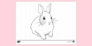 Baby bunny coloring pages are a fun way for kids of all ages to develop creativity, focus, motor skills and color recognition. Free Baby Rabbit Colouring Colouring Sheets