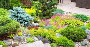 Check spelling or type a new query. Comment Amenager Un Jardin Sans Pelouse La Maison Saint Gobain