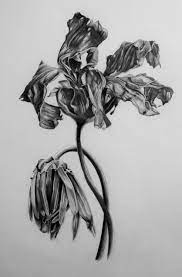 We did not find results for: Realistic Wilted Flower Drawing Novocom Top