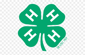There are only 1 out of every 10,000 three leaf guys! Indiana 4h Program 4 H Clover Vector Clipart 3414358 Pinclipart