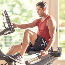 Schwinn® 270 recumbent bike (2017 model) assembly & owner's manual: Schwinn 270 Recumbent Bike Resistance Not Working Off 55