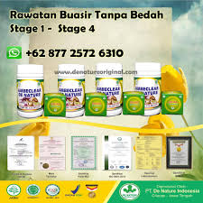 Cegah buasir anda dari menjadi lebih parah. Storymapjs Cara Order Ubat Buasir Mujarab Banyak Dicari